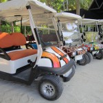 Clownfish Buggy