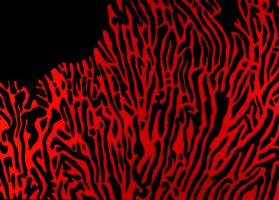 Red Coral Black – Original Artwork – Acrylic on Canvas