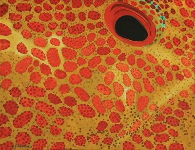 Red Grouper V – Original Artwork – Acrylic on Canvas