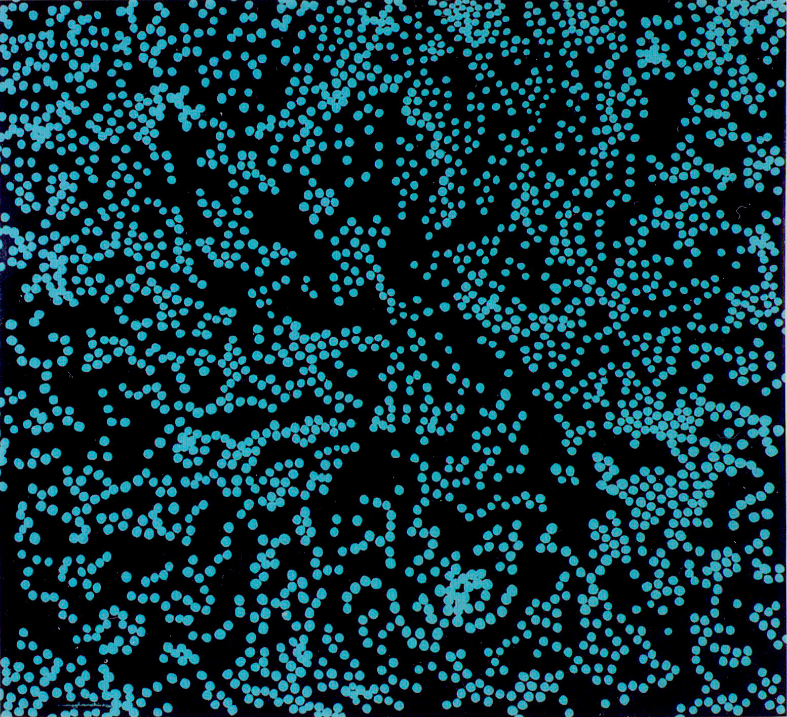 Coral Spawn