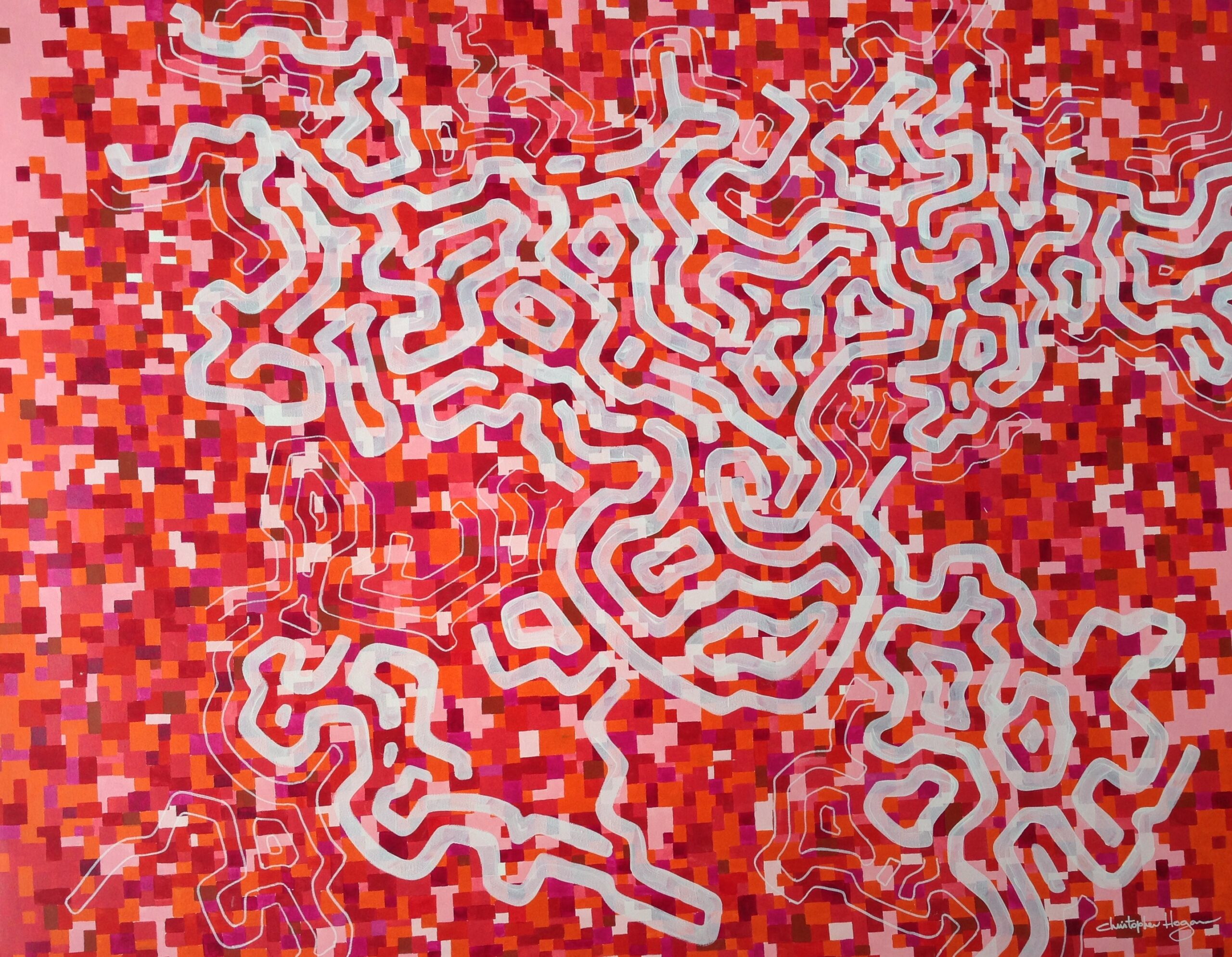 crab trails