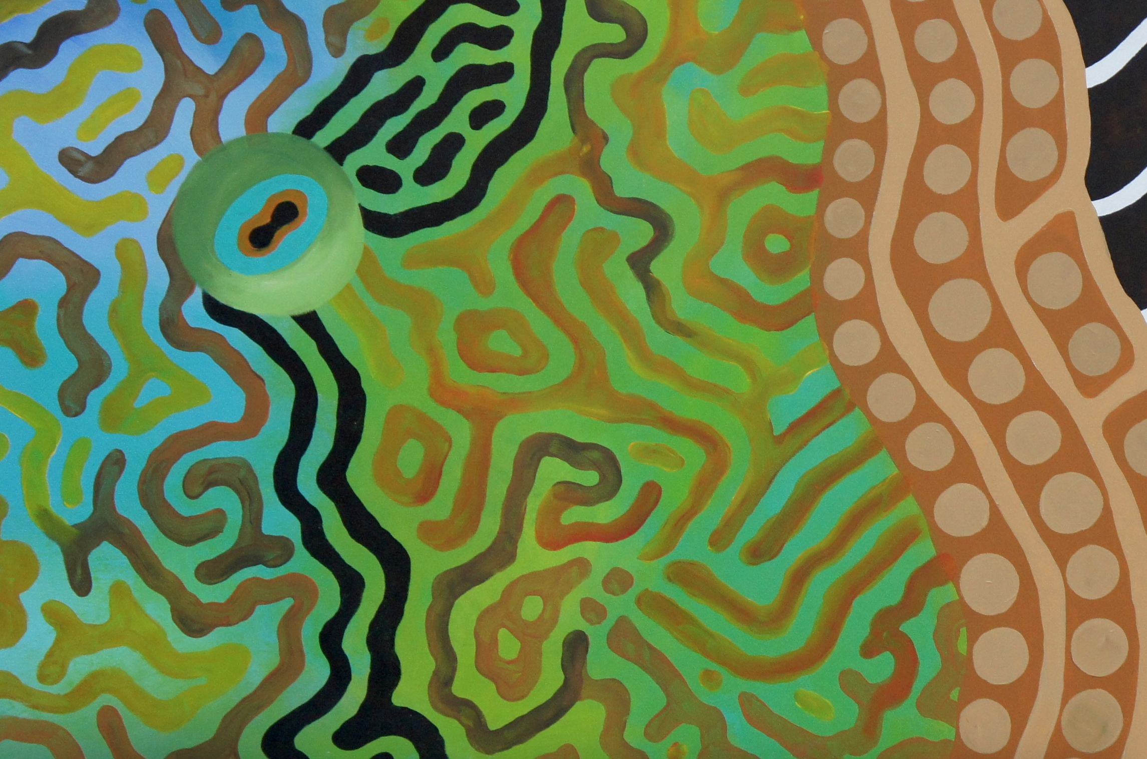 maori wrasse