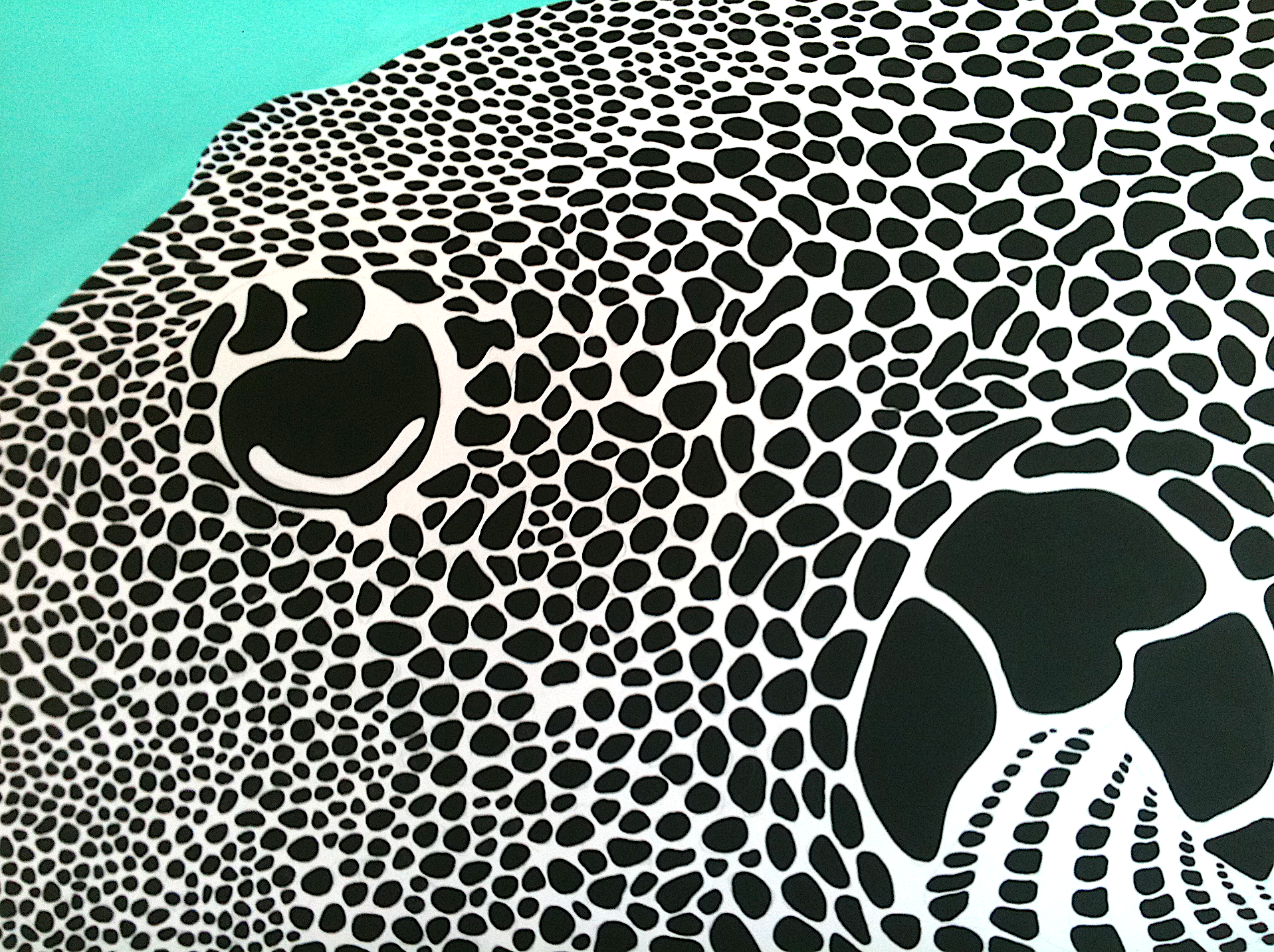 pufferfish 2