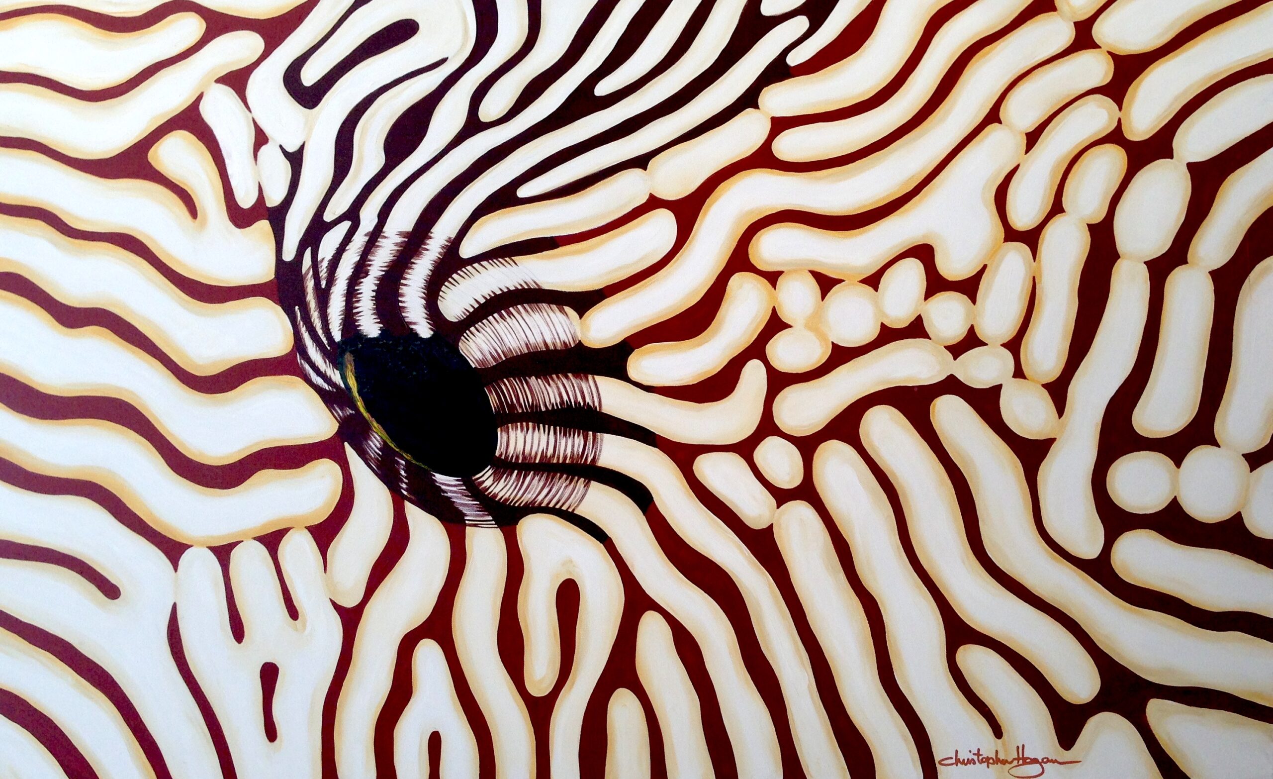 striped pufferfish